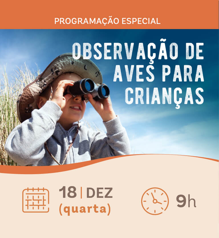 Observação de aves - site