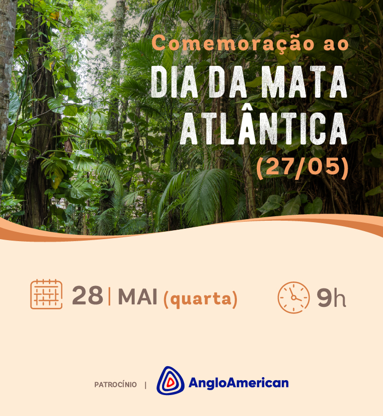 Mata Atlantica - Maio - Site